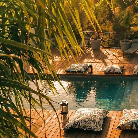 Villa Holistika : Bed And Breakfast / Pool / Air Conditioning/ Mont Faron Toulon-2