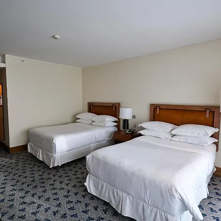 Sheraton Miramar Hotel & Convention Center-3
