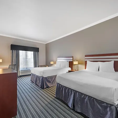 Best Western Plus Austin Airport Inn & Suites-3