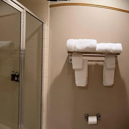 Rocklin Park Hotel, Trademark Collection By Wyndham-2