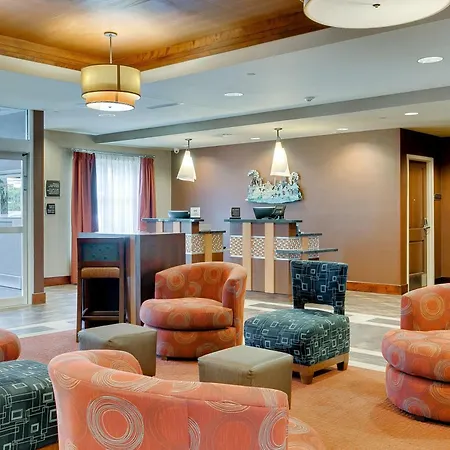 Homewood Suites By Hilton Fort Worth Medical Center-2