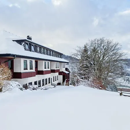 Panorama Hotel Winterberg-2