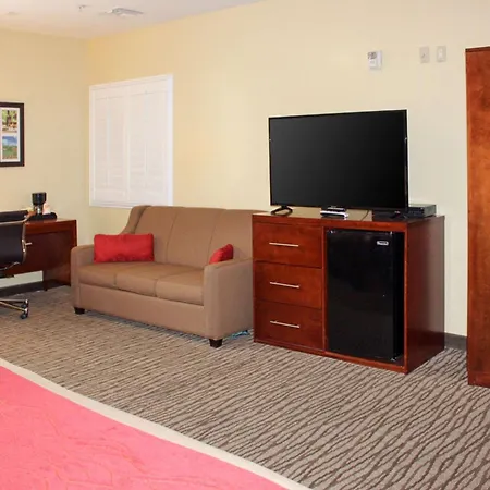 Comfort Inn Pomona Near Fairplex-3