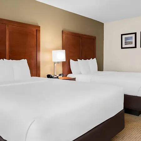 Comfort Inn & Suites Taylor - Detroit-2