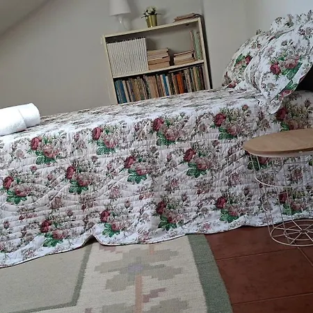 Sun & Sand Guesthouse-2