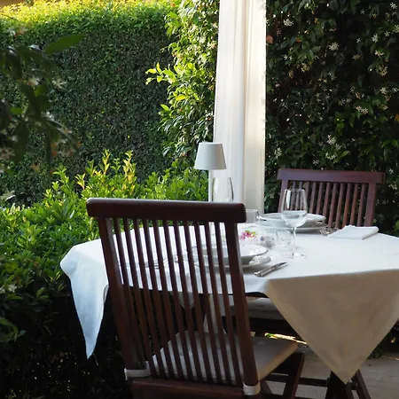 Aura Relais-3