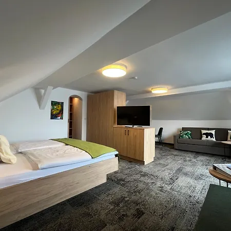 Seehotel Grauer Bär-2