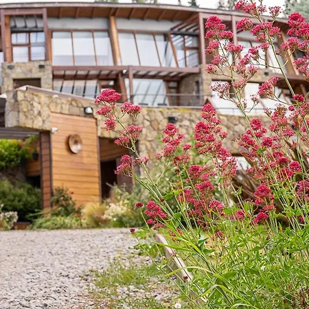 Rochester Bariloche Suites & Spa-2