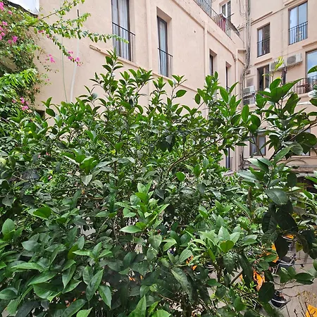 Hotel Palermo-3