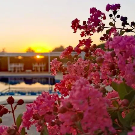 Peperosa Rooms And Events - Peaceful Countryside Escape With Pool, Private Parking, Just Minutes From The Sea, Anzio And Nettuno-2