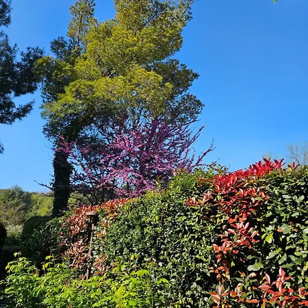 Villa Monacelli-3