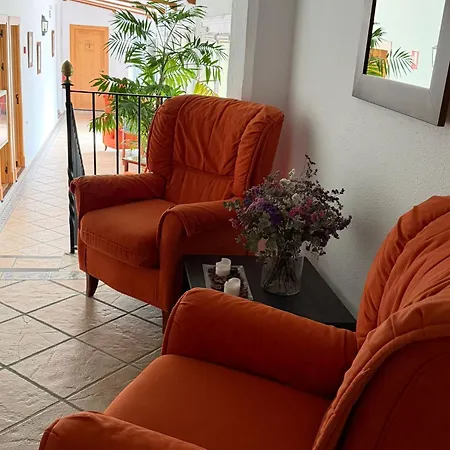 Hotel Los Olivos-3