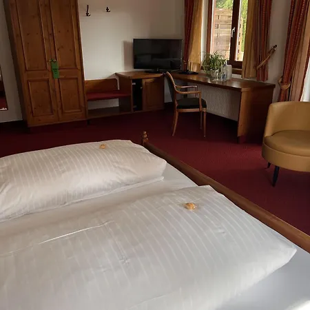 Parkhotel Krone Maleck-2
