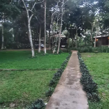 Bosque São Francisco-2