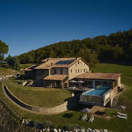 Aura Relais-2