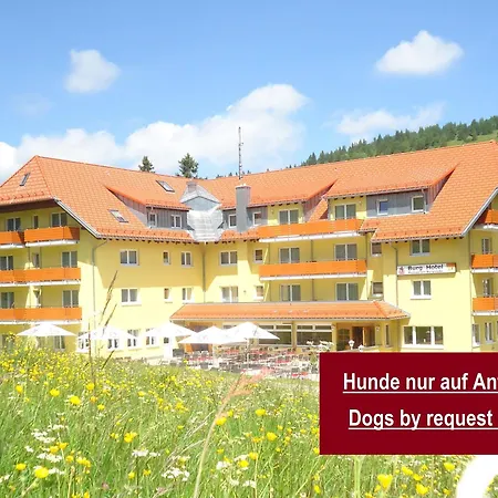 Burg Hotel Feldberg-2