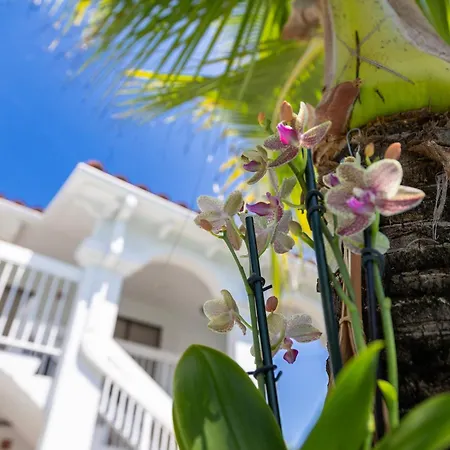 Palm Breeze Hotel-3