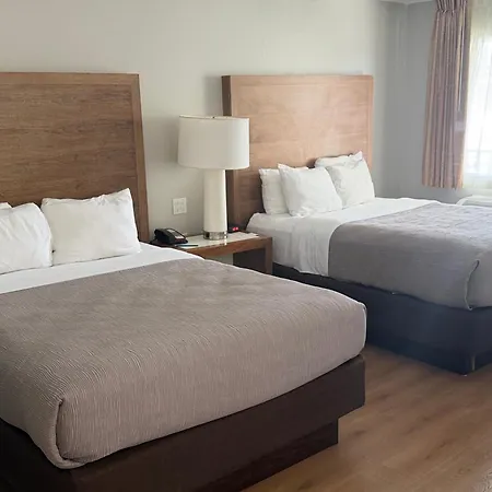 Quality Inn & Suites By The Parks-3