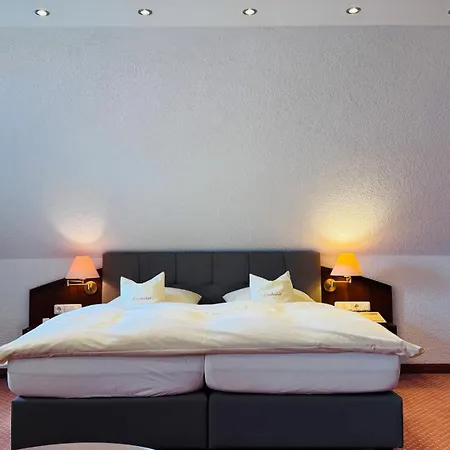 Hotel Lindenhof-3