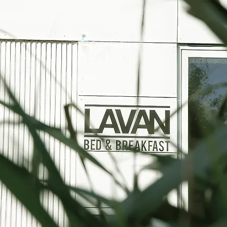 Lavan-2