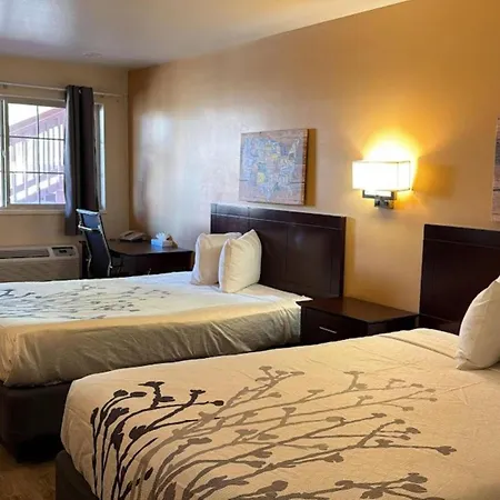 Econo Lodge Inn & Suites Montrose - Black Canyon Area-3