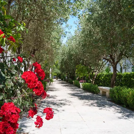 Borgo Primizia-3