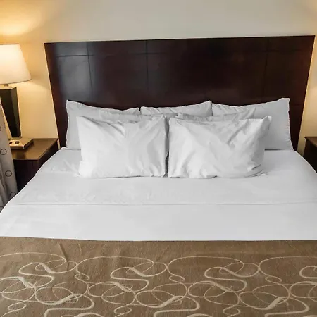 Comfort Suites University Area Notre Dame-South Bend-3