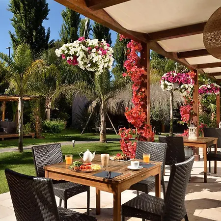 Hotel Isola Sacra Rome Airport-3