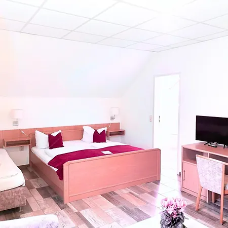 Hotel-Pension Am Mühlberg-3