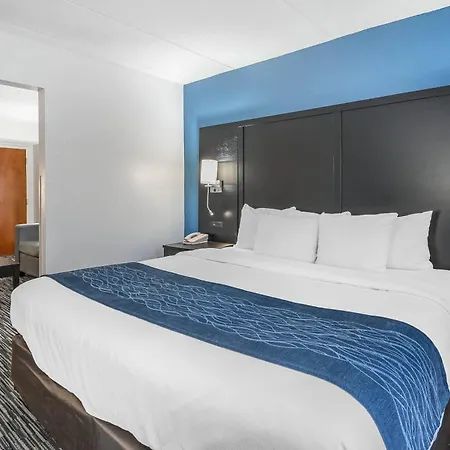 Comfort Inn Gainesville - University Area-2
