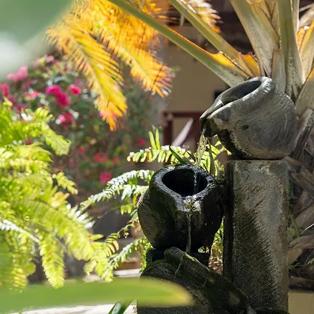 Bamboo Bonaire By Boutique Bonaire Unique Resorts-2