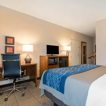 Comfort Inn Concord South End-2