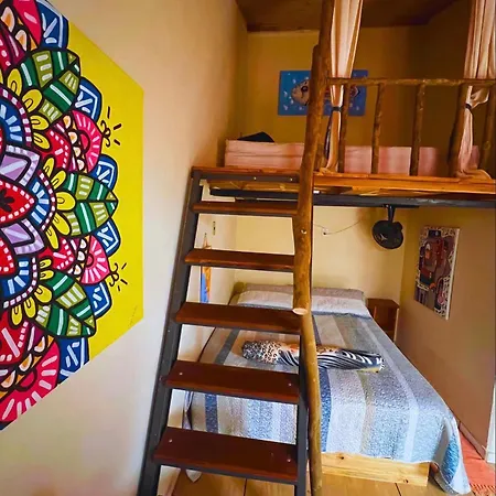hospedagem bicho do mato arts-2