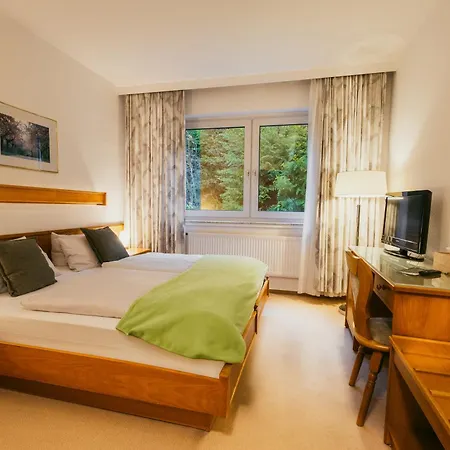 Waldhotel Ehrental-3