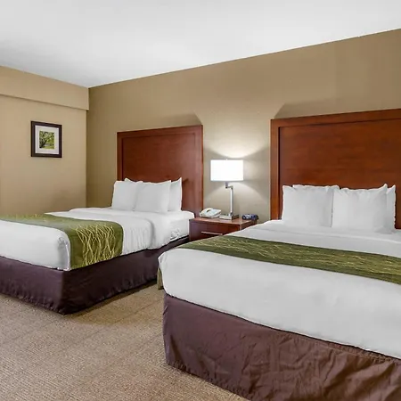 Comfort Inn Aikens Center-2