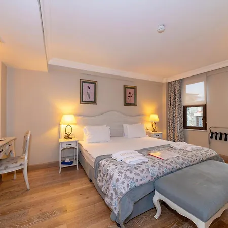 Arena Hotel - Special Class-2