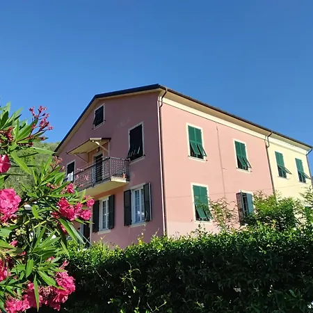 B&B Fattore-3