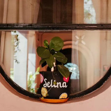 Selina San Miguel De Allende-3