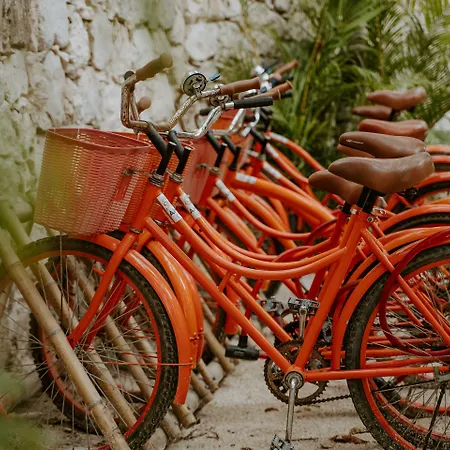 Ahau Beachfront Tulum Hotel (Adults Only)-3
