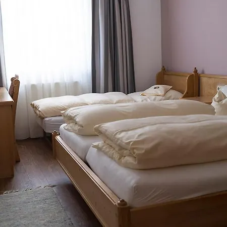 Hotel Schweizer Haus-3