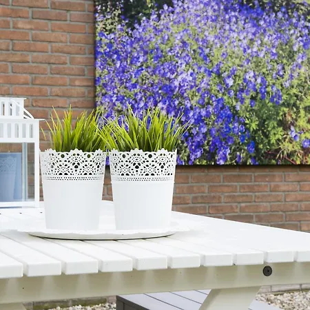 Bed&Breakfast De Reggestee-3