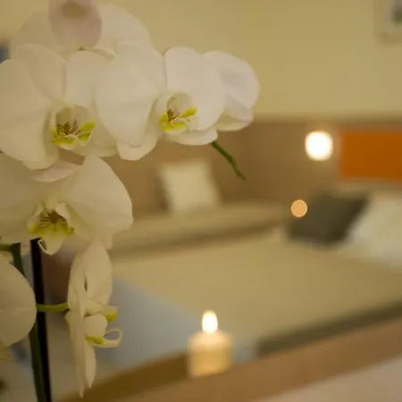 Hotel Consuelo-2