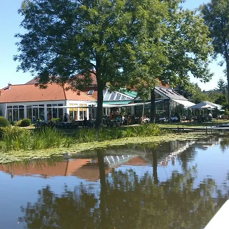 Hotel Grüner Baum-3