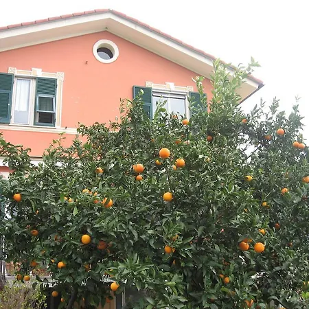Le Clementine B&B-3