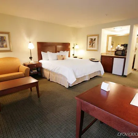Hampton Inn & Suites By Hilton San Diego Seaworld Near Old Town-3