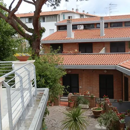 Cav Brunella-3