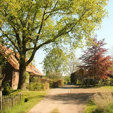 Huisje en B&B Green Cottage-2