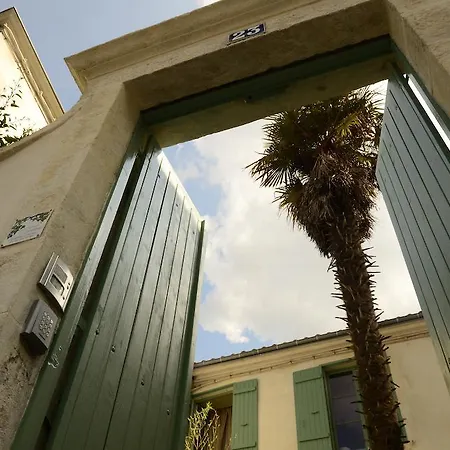 La Maison du Palmier-2