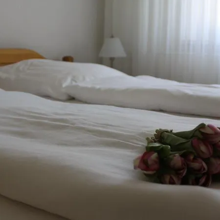 Hotel Weile-2