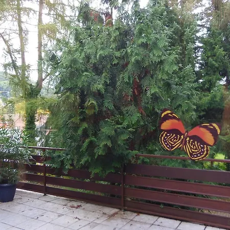 Hotel Salinenblick-2